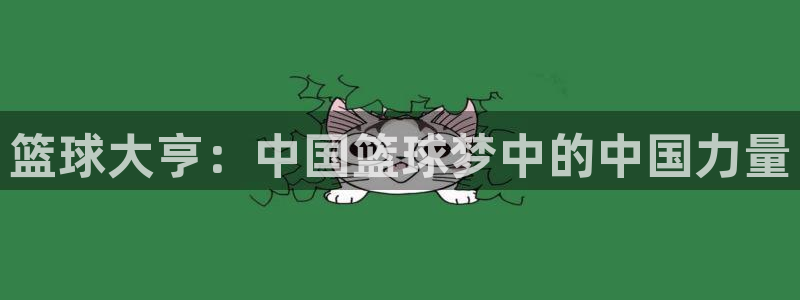 篮球大亨：中国篮球梦中的中国力量