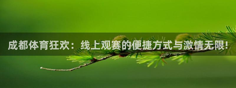成都体育狂欢：线上观赛的便捷方式与激情无限!