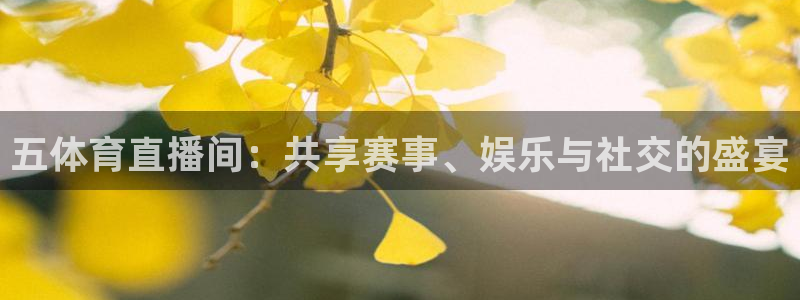五体育直播间：共享赛事、娱乐与社交的盛宴