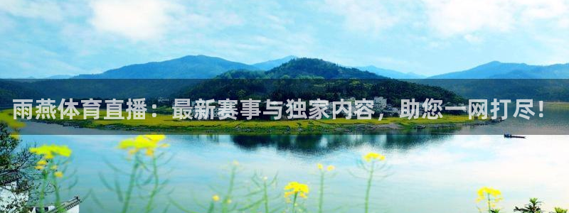 雨燕体育直播：最新赛事与独家内容，助您一网打尽！