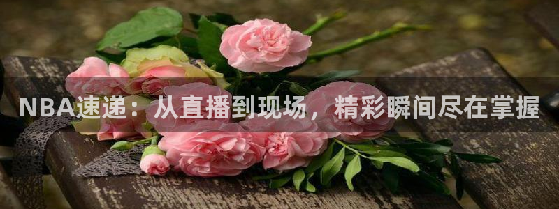 NBA速递：从直播到现场，精彩瞬间尽在掌握