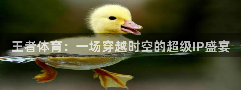 王者体育：一场穿越时空的超级IP盛宴