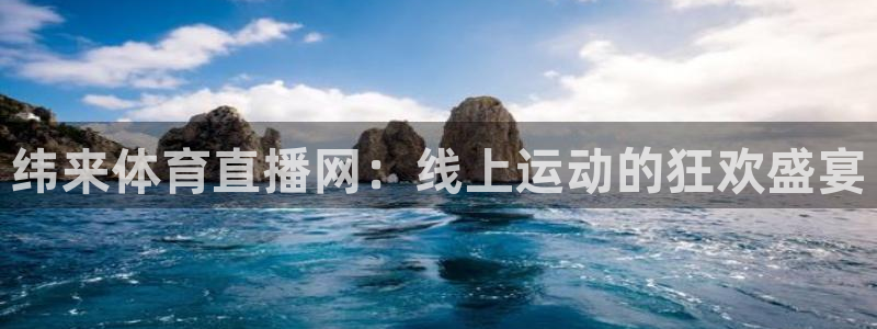 纬来体育直播网：线上运动的狂欢盛宴