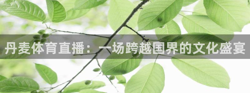 丹麦体育直播：一场跨越国界的文化盛宴