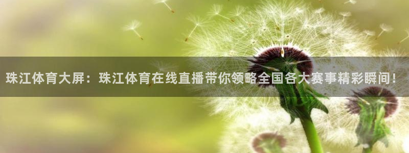 珠江体育大屏：珠江体育在线直播带你领略全国各大赛事精彩瞬间！